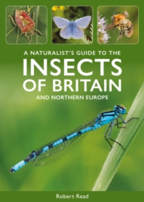 Image of A Naturalist's Guide to the Insects of Britain and Northern Europe Paperback / softback
