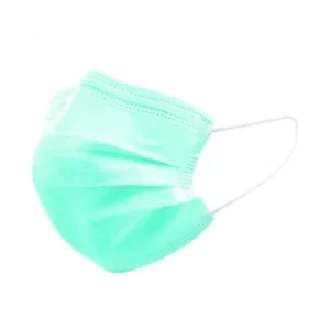 Image of Disposable 3Ply Face Masks Pack of 10 WX07412