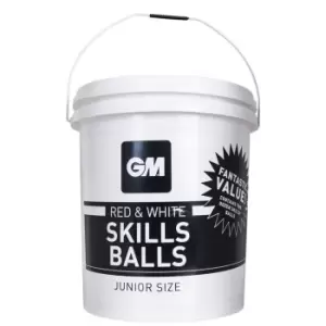 Image of Gunn And Moore and Moore Skills Ball x24 - Red