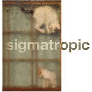 Image of Sigmatropic - Every Soul Is A Boat Limited Edition Orange Vinyl