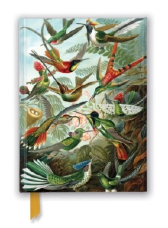 Image of Ernst Haeckel: Hummingbirds (Foiled Journal) Notebook / blank book