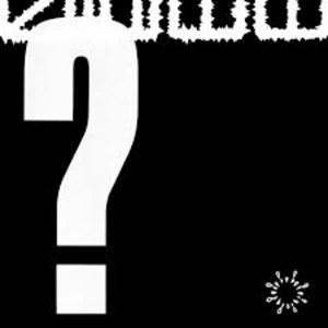 Image of S.H.I.T. - What Do You Stand For? Vinyl