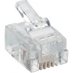 Image of Lumberg P 127 Modular Plug 6p4c RJ11 Plug straight Transparent
