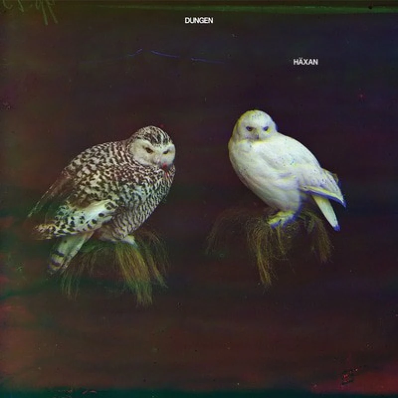Image of Dungen - Haxan CD Album - Used