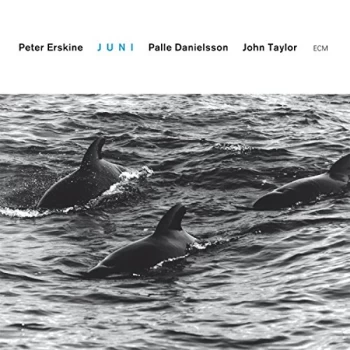 Image of Peter Erskine Trio - Juni CD