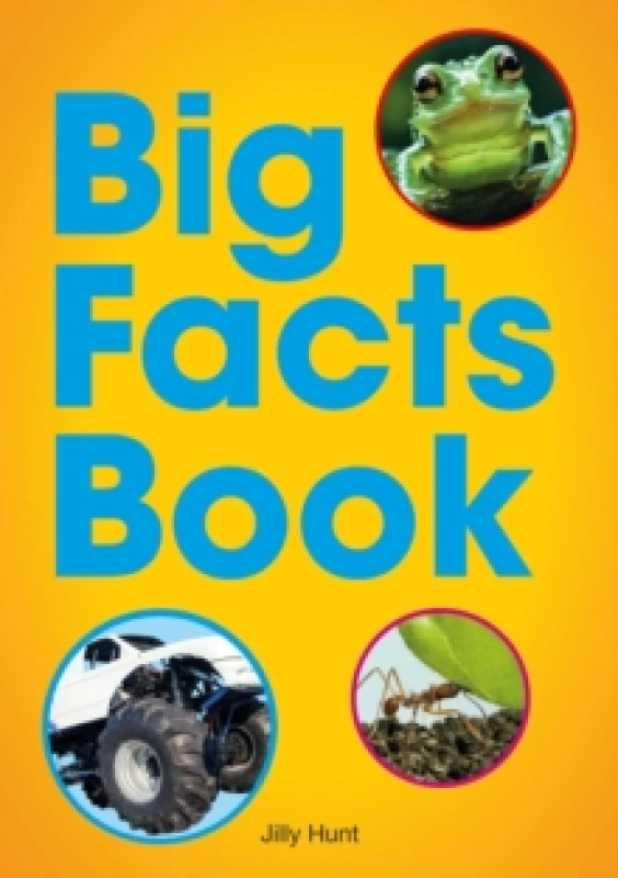 Image of Big Facts Book (Set 07) Paperback / softback