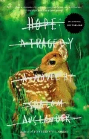 Image of hope a tragedy