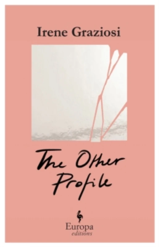 Image of The Other Profile : A powerful novel that reveals the soft underbelly of Instagrams brand activism Paperback / softback