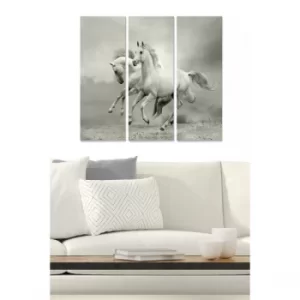 Image of MDF99820919 Multicolor Decorative MDF Painting (3 Pieces)