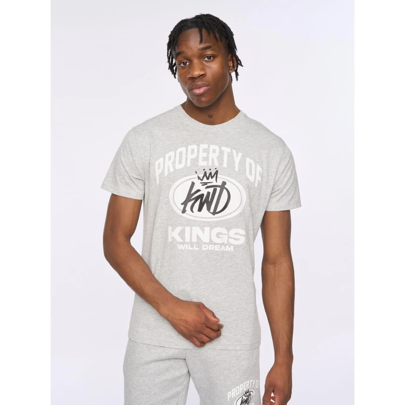 Image of Kings Will Dream Prop T-Shirt Grey male XL