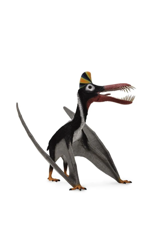 Image of CollectA Guidraco Dinosaur Toy with Movable Jaw Black unisex