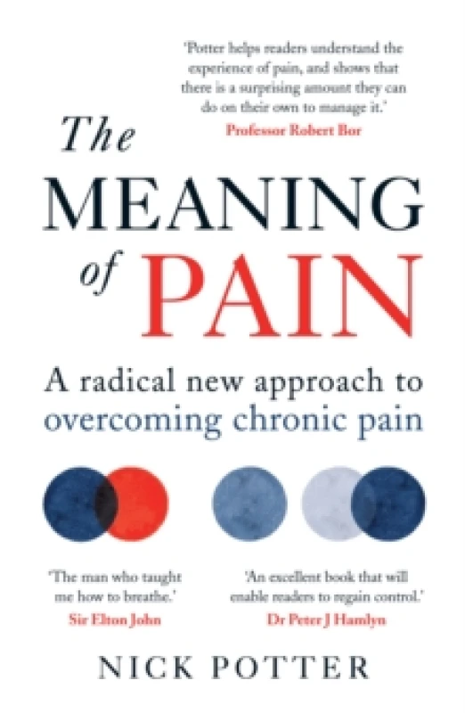 Image of The Meaning of Pain : A radical new approach to overcoming chronic pain Paperback / softback