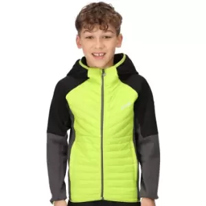 Image of Regatta Boys Kielder Hybrid VI Water Repellent Padded Coat 3-4 Years - Chest 55-57cm (Height 98-104cm)