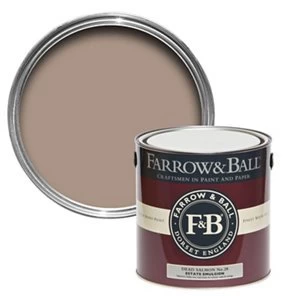 Image of Farrow & Ball Estate Dead salmon No. 28 Matt Emulsion Paint 2.5L