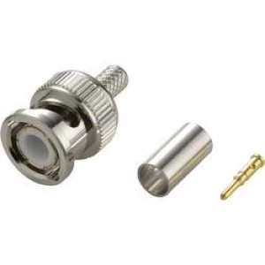 Image of BNC connector Plug straight 75 TE Connectivity 1 1337428 0