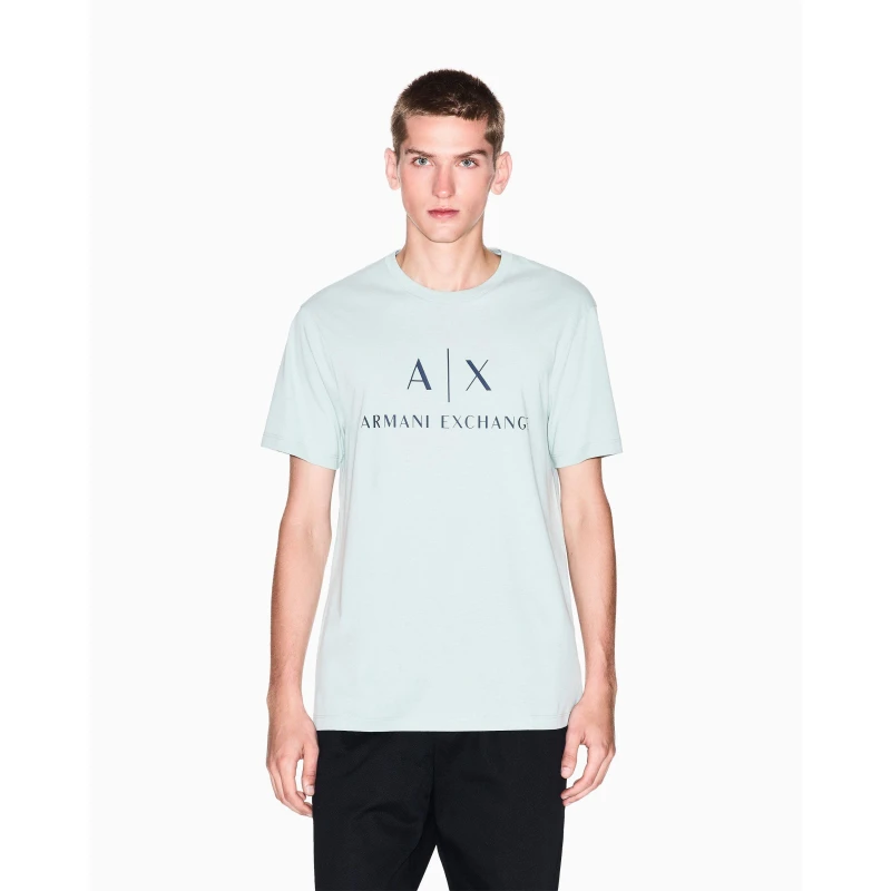 Image of Armani Exchange Logo T-Shirt Aqua Grey male S