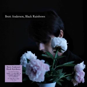 Image of Brett Anderson - Black Rainbows Coloured Vinyl