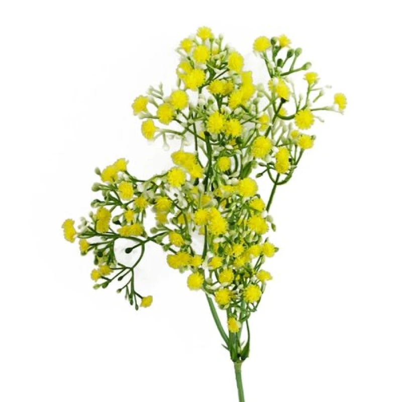 Image of Leaf 55cm Gypsophila Yellow Stem