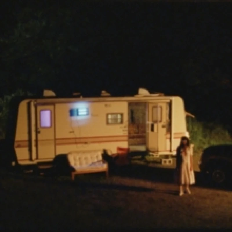 Image of The Runner Vinyl