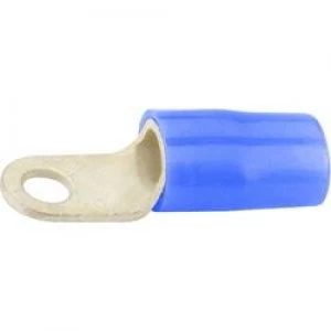 Image of Ring terminal Cross section max.15 mm2 Hole 6mm Partially