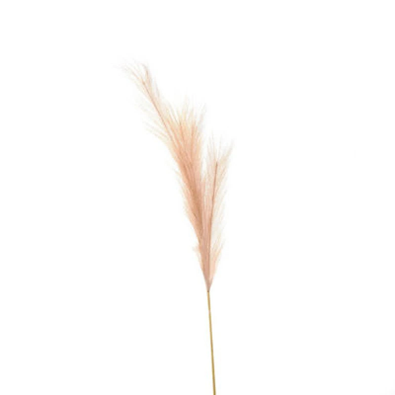 Image of Hill Interiors UK Homeliving Faux Pampas Grass Stem
