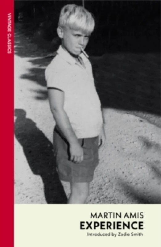 Image of Experience Paperback / softback