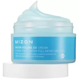 Image of Mizon Water Volume Ex Cream 100ml
