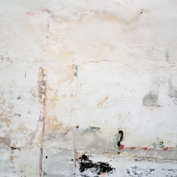 Image of Brett Naucke - The Mansion Vinyl