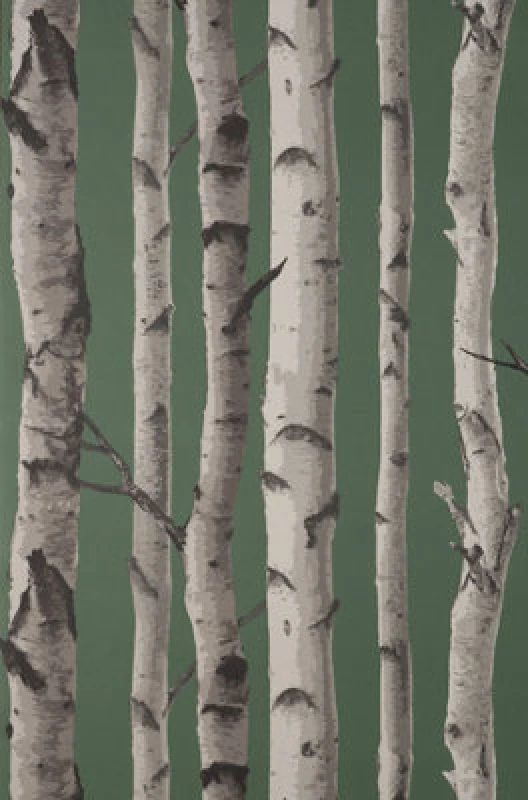 Image of FINE DECOR Fine Decor - Birch Trees Dark Green Wallpaper Modern Contemporary Paste The Wall WL-FD43292