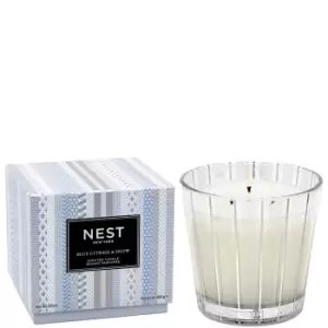 Image of Nest Fragrances Blue Cypress and Snow 3-Wick Candle