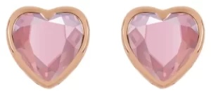 Image of Radley 18ct Rose Gold Plated Silver Glass Stud Earrings