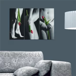 Image of B14 Multicolor Decorative MDF Painting (3 Pieces)