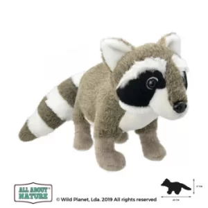 Image of All About Nature Racoon 47cm Plush