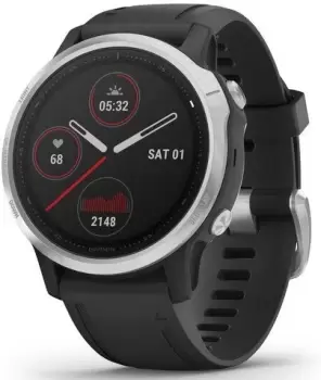 Image of Garmin Watch Fenix 6S Silver With Black Band - Black