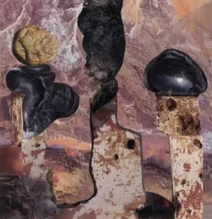 Image of Finish Him by Liam Singer CD Album