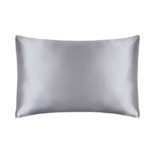 Image of Belledorm 100% Mulberry Silk Pillowcase (One Size) (Platinum)