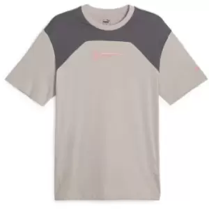 Image of Puma Manchester City Football Culture T-Shirt 2023 2024 Adults - Grey