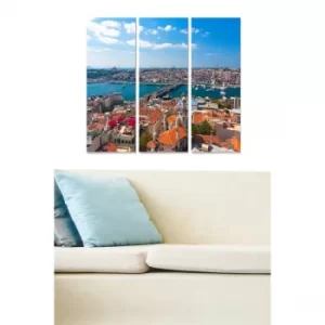 Image of MDF173842874 Multicolor Decorative MDF Painting (3 Pieces)