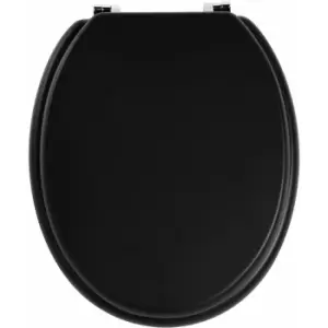 Image of Matt Black Toilet Seat - Premier Housewares