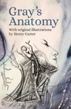 Image of grays anatomy with original illustrations by henry carter
