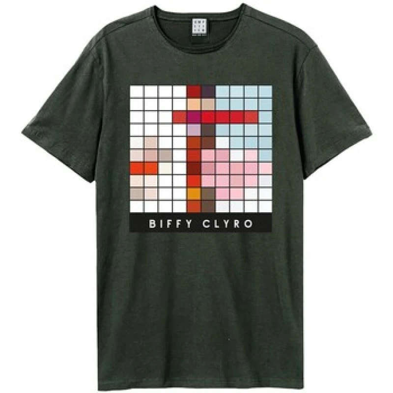 Image of Amplified Amplified Men The Myth Of Happily Ever After Biffy Clyro T-Shirt in Charcoal Size: X-Small Charcoal XS Male 5063574151498