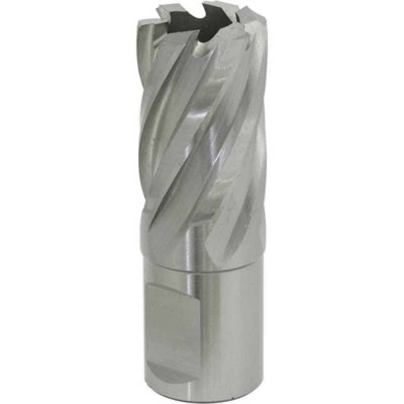 Image of Loops 21mm x 25mm Depth Rotabor Cutter - M2 Steel Annular Metal Core Drill 19mm Shank Metallics