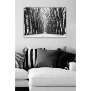 Image of 108800927-5070 Multicolor Decorative Canvas Painting