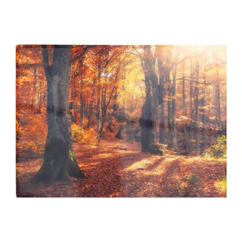 Image of Warren Reed Designer Autumn Forest Glass Chopping Board