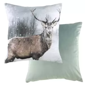 Image of Photo Stag Cushion Multicolour