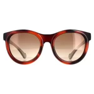 Image of Round Dark Tortoise Havana Brown ML0087