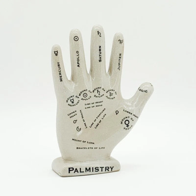 Image of Minster 12" Palmistry Hand Ornament - L6 X W15 X H30 Cm