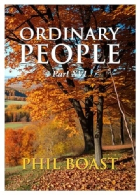 Image of Ordinary People XVI Paperback / softback