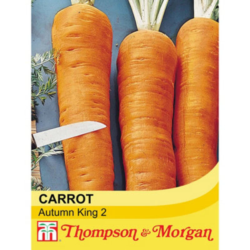 Image of Thompson & Morgan Carrot Autumn King 2 1 Seed Packet (1500 Seeds)
