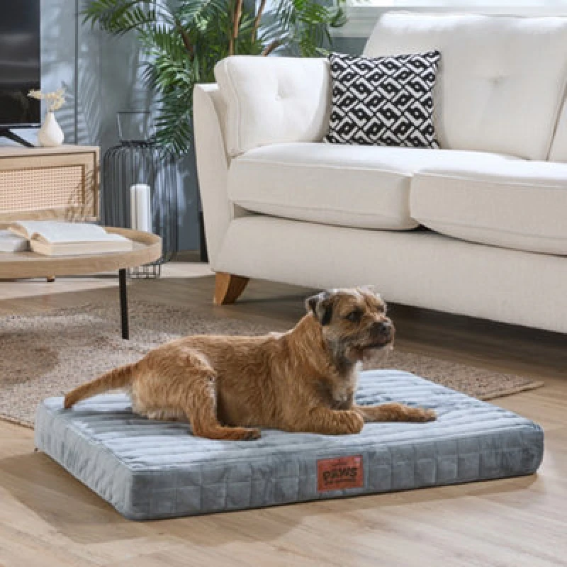 Image of Slumberdown Paws for Slumber Medium Orthopedic Pet Bed Grey
